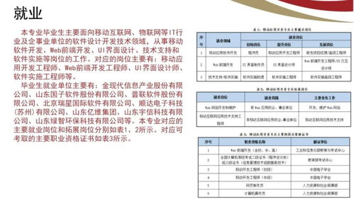 山東電子職業(yè)技術(shù)學(xué)院計算機與軟件工程系 計算機軟件技術(shù)服務(wù)專業(yè)簡介