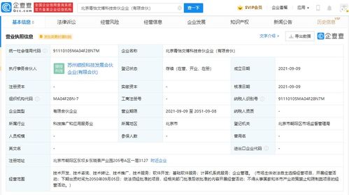 計算機軟件技術服務 驅動數(shù)字化轉型的核心力量